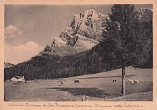 66b cartolina martino usato  Lugo