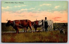 A Safe Tho maneira lenta de arar~agricultor com arado de assento de fazenda equipe de boi~cão~c1910, usado comprar usado  Enviando para Brazil