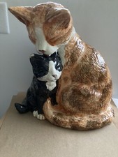 ginger cat for sale ginger cat for sale SHANKLIN