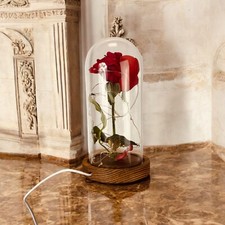 Dream flowers led for sale  EASTBOURNE