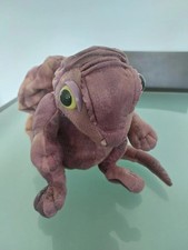 Baby neera hatchling for sale  KINGSTON UPON THAMES