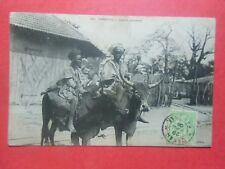 Cpa sénégal boeufs d'occasion  Replonges