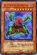 Yugioh ptdn jp005 usato Yugioh ptdn jp005 usato  Spedire a Italy
