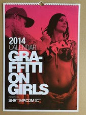 Calendrier 2014 graffiti d'occasion  Montpellier-
