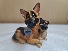 Pets personality german for sale  STOKE-ON-TRENT