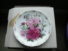 peace rose for sale  FRASERBURGH