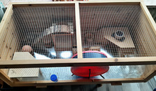 Xxl hamsterkäfig komplettem gebraucht kaufen  Selters