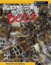 Life colony bees for sale  ROSSENDALE