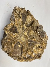 Raw rock maybe for sale  Weatherford