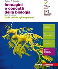 Immagini concetti della usato  Certaldo
