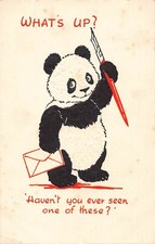 A717 What's Up? Cartão postal humanizado urso panda segura carta e caneta 1939 em relevo comprar usado  Enviando para Brazil