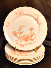 Assiettes plates porcelaine d'occasion  Châteaudun