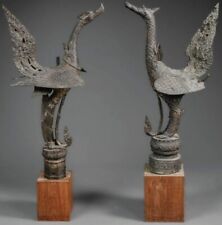 Paire oiseaux hongsa d'occasion  Avignon