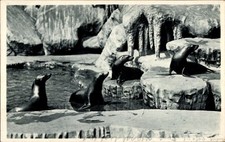 Hamburg eimsbüttel stellingen gebraucht kaufen Hamburg eimsbüttel stellingen gebraucht kaufen  Berlin