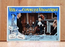 Vita una commessa usato  Torino