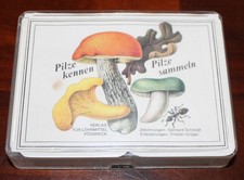 Pilze kennen sammeln gebraucht kaufen  Annaberg-Buchholz, Mildenau