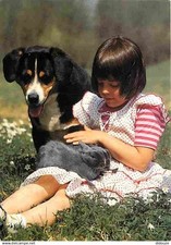 Animals dogs bernese d'occasion  Expédié en Belgium