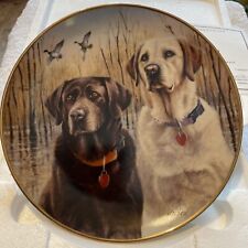 Labrador plate danbury for sale  SWANSEA