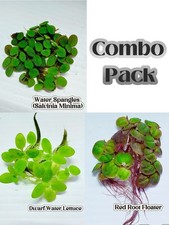 Buy2get1free floating plant for sale  Garden Grove
