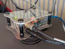 Raspberry allo digione for sale  WOKINGHAM