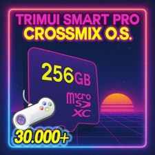 Memory card 30000 usato  Torreglia