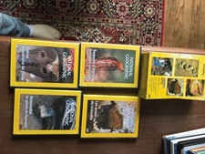 Dvd documentaire national d'occasion  La Châtaigneraie