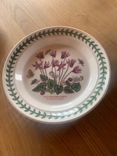 Portmeirion serie botanic gebraucht kaufen  Notzingen