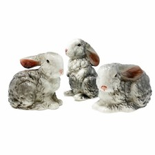 Easter bunny rabbit for sale  Trinity