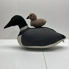 Mallard duck duckling for sale  Asheville