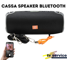 Speaker cassa amplificata usato  Casandrino