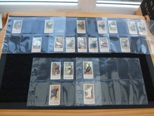pigeons for sale pigeons for sale MELTON MOWBRAY