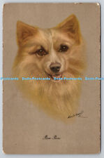 R759097 pom pom for sale  WARLINGHAM