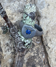 353a bague poilu d'occasion  Pignans