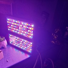 Viparspectra v900 led for sale  CRAIGAVON