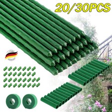 30x pflanzstab pflanzenstab gebraucht kaufen  Frankfurt (Oder)