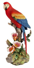 Scarlet macaw bird for sale  Nashua