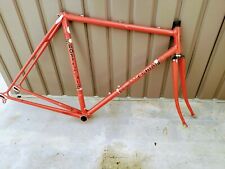 Telaio vintage bottecchia usato  Roma