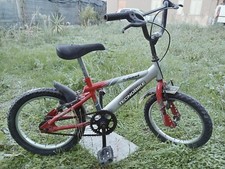 Roost tecnobike usato  Francavilla al Mare