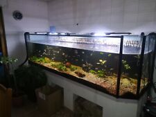 Aquarium 300 2000 gebraucht kaufen  Nickenich