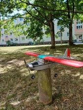 Mini satyr timer gebraucht kaufen  Berlin