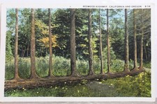 Oregon california redwood for sale  Wilmington