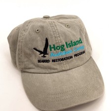 Hog island audubon for sale  Old Orchard Beach