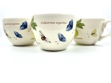 Wedgwood sarah gardens for sale  OBAN