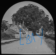 Elm tree woodbridge for sale  HAYLE