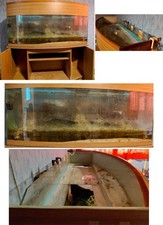 4ft bowfront glass for sale  PLYMOUTH