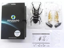 Figura Ribozio Girafa Sawtooth Stag Beetle White Eye Ver. Gerenciamento direto Kaiyodo comprar usado Figura Ribozio Girafa Sawtooth Stag Beetle White Eye Ver. Gerenciamento direto Kaiyodo comprar usado  Enviando para Brazil