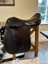 Ideal working hunter for sale  TENBURY WELLS