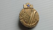 Broche ski montagne d'occasion  Le Pontet
