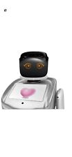 Sanbot humanoid robot for sale  LAMPETER