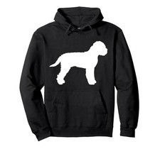 Lagotto romagnolo cane usato  Grottammare